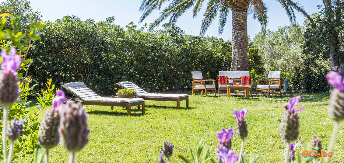 Procchio Farmhouse Il Il Micio Garden with deckchairs